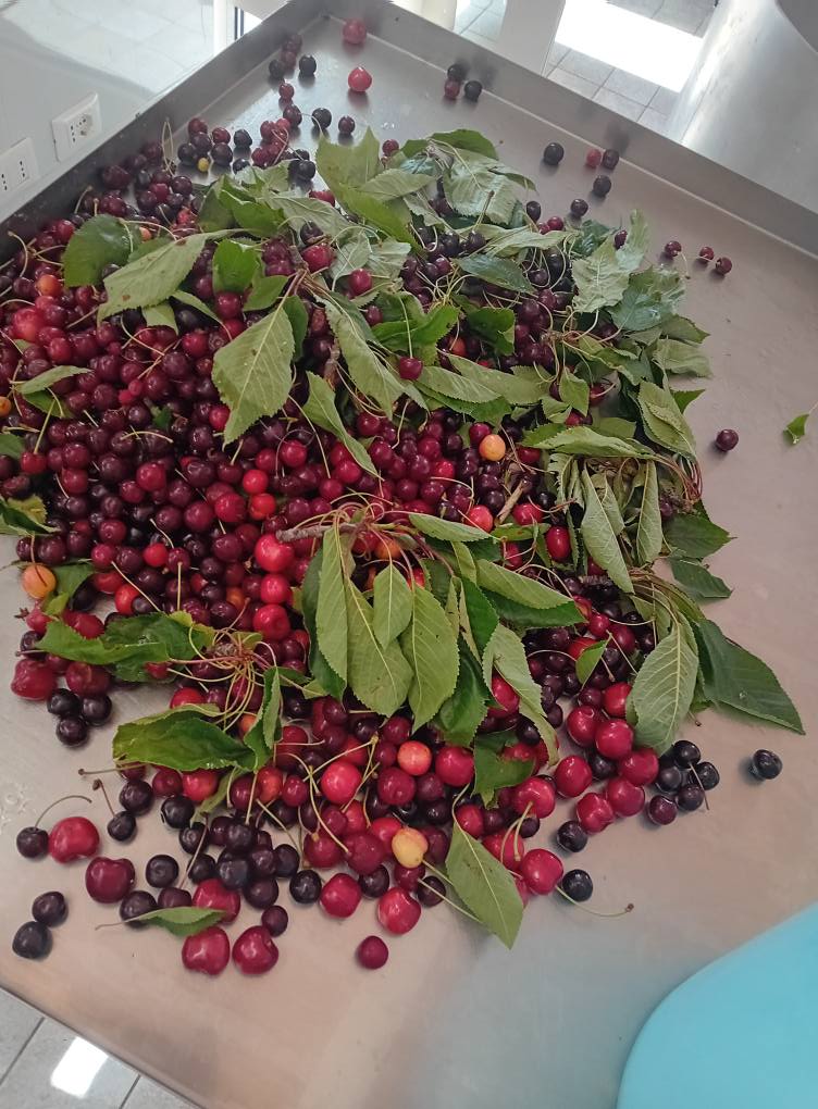 Azienda agricola bio a Rieti